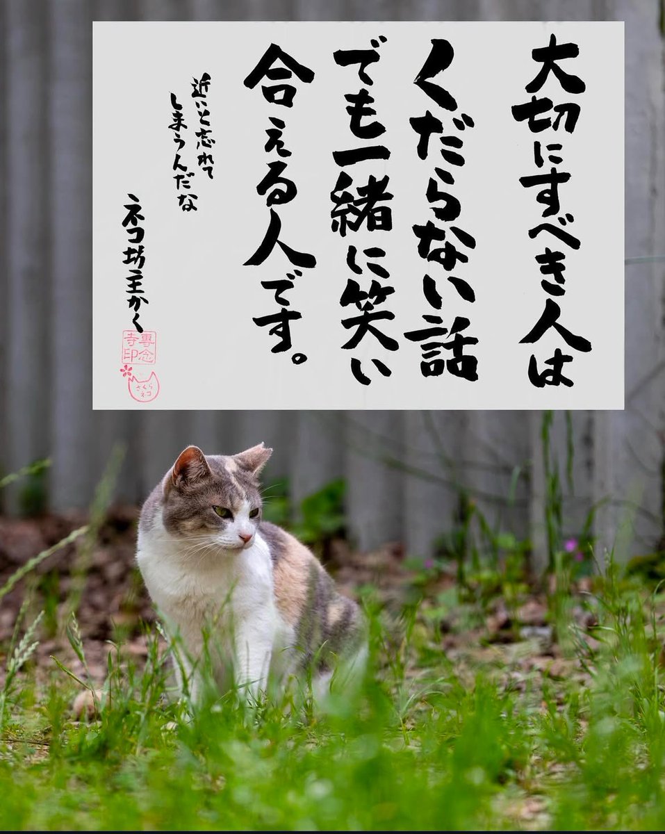 ネコさんから人間さんへ今日の一言
