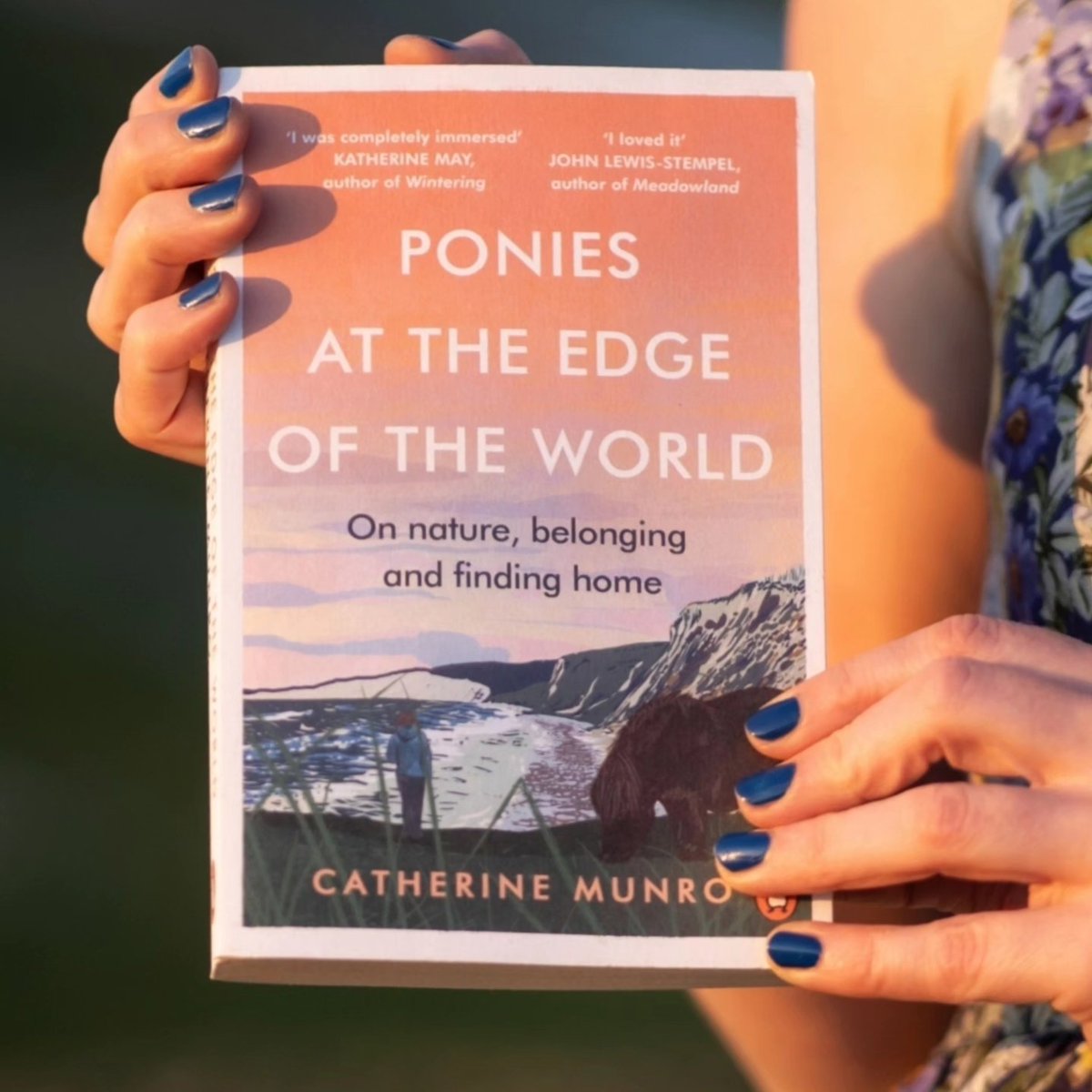 CatherineMMunro's tweet photo. I will do my last posting of Ko-Fi items this Thursday. After that I will close the shop until after Christmas. There are only 3 signed paperback copies of Ponies left but there are more hardbacks available #Shetland https://t.co/xw6UhcJCmr