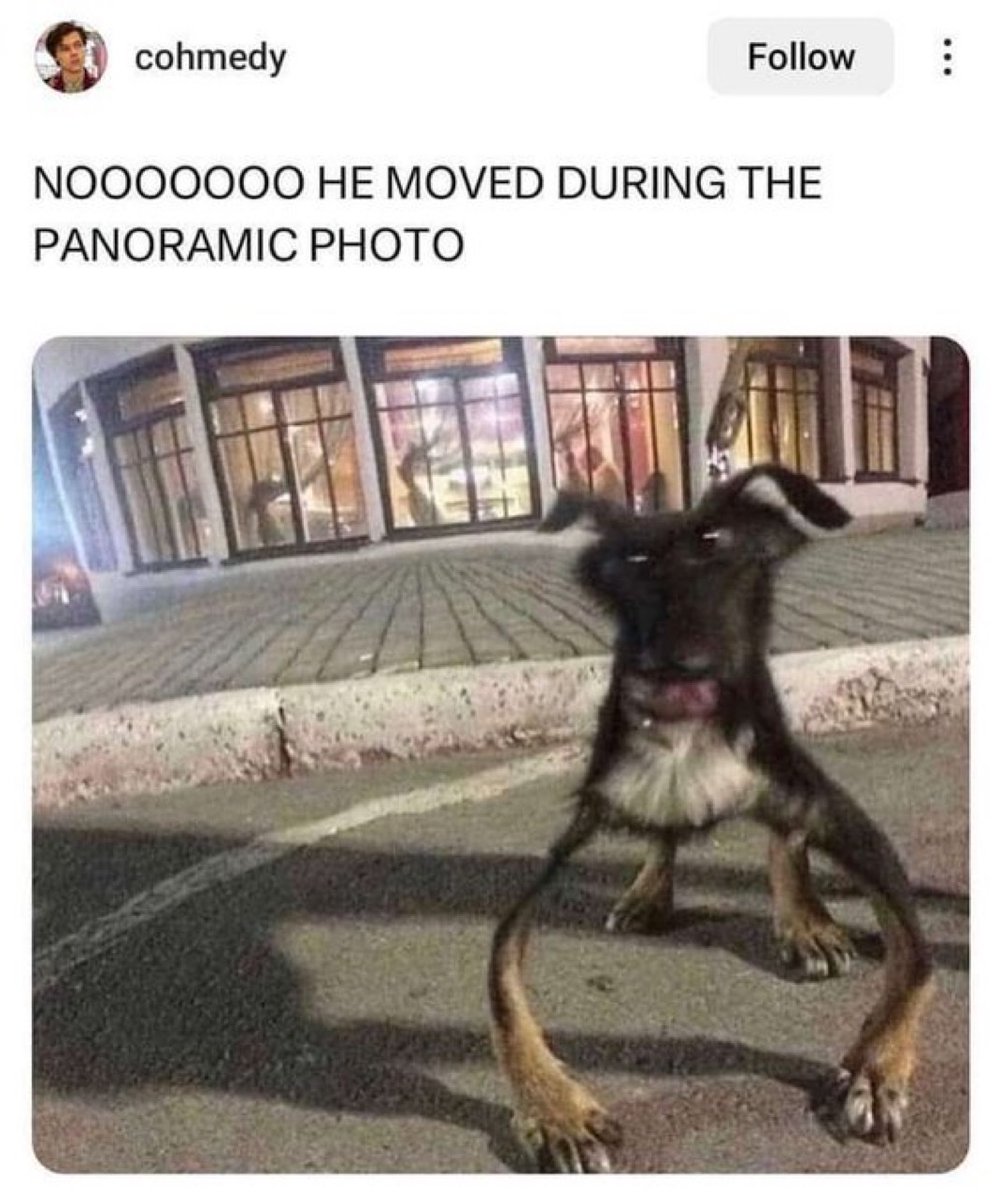 ShitpostGate's tweet photo. https://t.co/W4bUlGHi2U