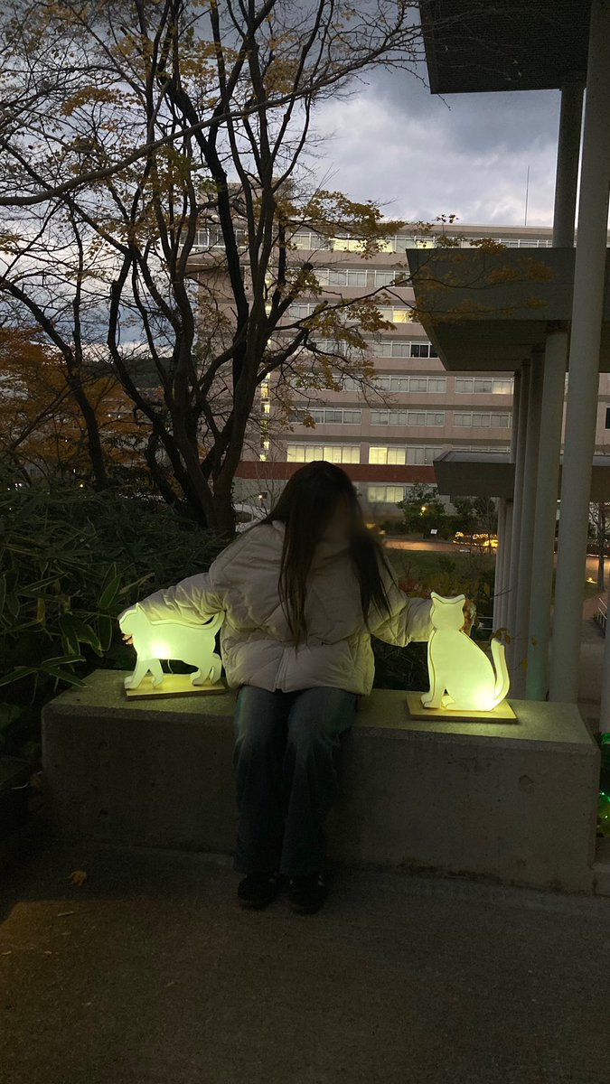_worldneko's tweet photo. 部員たちで灯篭と撮ってみました📸🐾

猫のポーズを真似してみたり、ねこ灯篭を愛でてみたり、オリジナルポーズで撮ってみたり、、💭

いろんな撮り方で沢山撮って楽しんでくださいね❕😉

#灯篭を撮ろうにゃー https://t.co/K2iZUzeOMJ