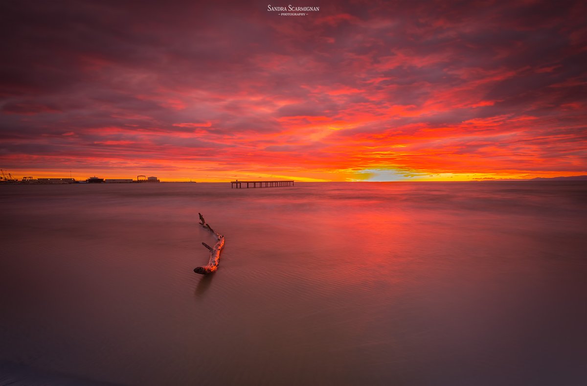 FotoproOfficial's tweet photo. Behind every stunning shot is a rock-solid foundation 🌅✨Shared by ig@sandra68_photography
🔭T1 Plus Standard
📸Canon 5d mark iii 17.40 mm L
#Fotopro #t1plus #t1plusadventure #sunsetvibes #photographygear #SeasideSunset #longexposure_shots #photographerlife https://t.co/1jhP6F5PDf