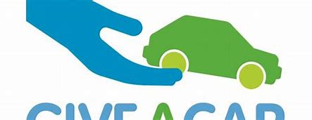 Animal Care in Egypt tweet media