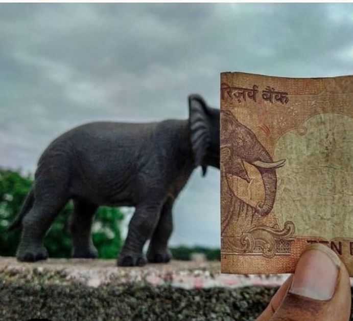 dhiya_000's tweet photo. 🏆✨ एक-दो अवॉर्ड और बचे हों तो भाई को भी दे दो यार! 😂👏

🏵️ जय श्री कृष्णा 🏵️ 
💐Good Evening 💐

#LegendVibes 🎤 #TalentOverflow 🎭 https://t.co/anJ0YXDxfR