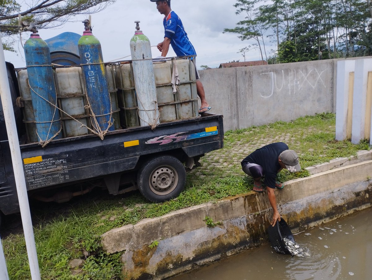 mohdialite's tweet photo. Jum'at (6/12), Mohamad Wahudi Luhkan Kab. Banjarnegara, di Pelaku usaha Bpk Yanto  Ds. Pucang, Kec. Bawang, tebar ikan nila 70 kg harga 27000/kg (70 ekor/kg)
#luhlapor #GiatLuhkanSatminkalBogor @PKBLU_bp3tegal @pusluh_bppsdm https://t.co/ikrD0mupMe