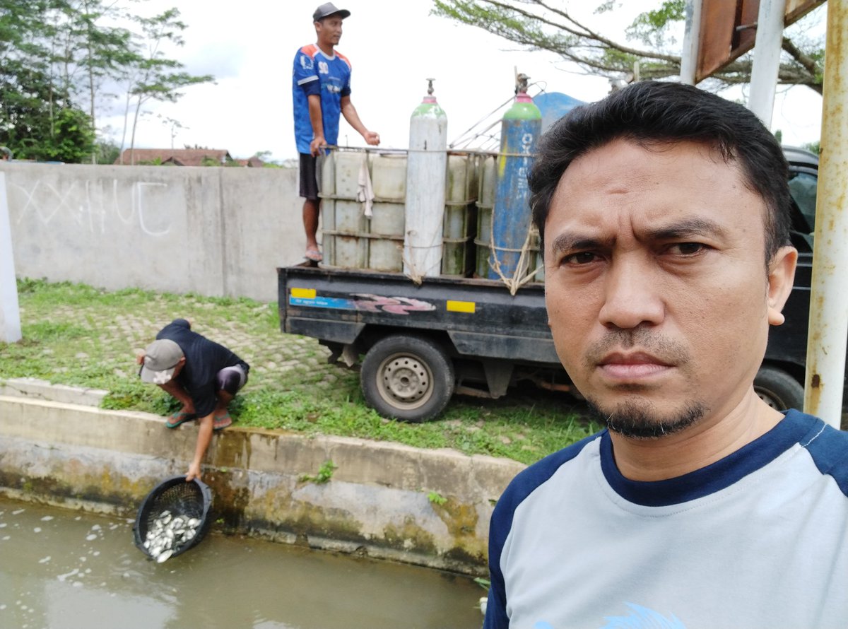 mohdialite's tweet photo. Jum'at (6/12), Mohamad Wahudi Luhkan Kab. Banjarnegara, di Pelaku usaha Bpk Yanto  Ds. Pucang, Kec. Bawang, tebar ikan nila 70 kg harga 27000/kg (70 ekor/kg)
#luhlapor #GiatLuhkanSatminkalBogor @PKBLU_bp3tegal @pusluh_bppsdm https://t.co/ikrD0mupMe