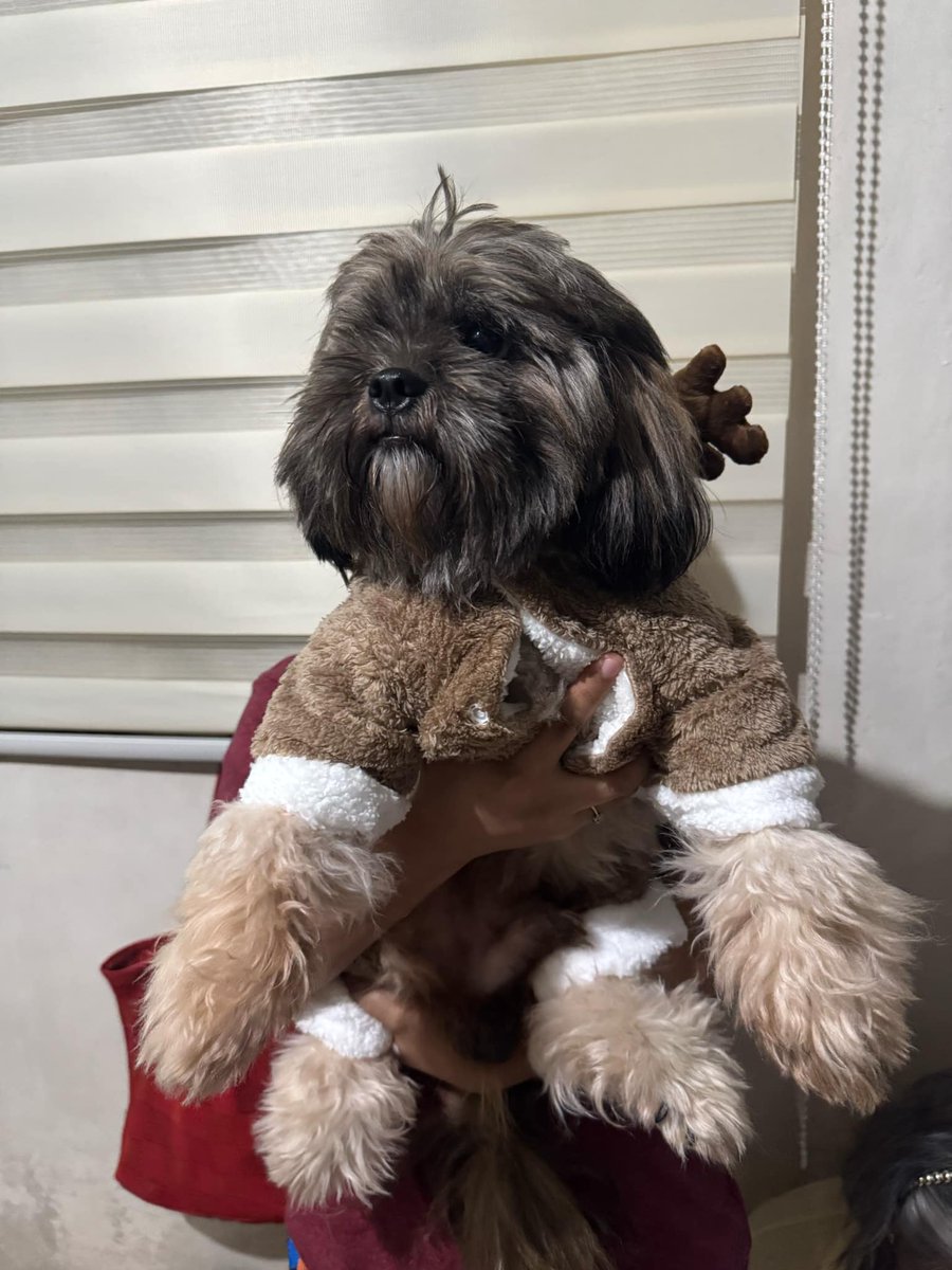 atecienna's tweet photo. Hi may gusto daw po sumali as raindear. Medyo mukhang pagod lang daw po hahahaha

-Rainpotpot

RAIN CELMAR | #RainCelmar https://t.co/QWjxiQS17e