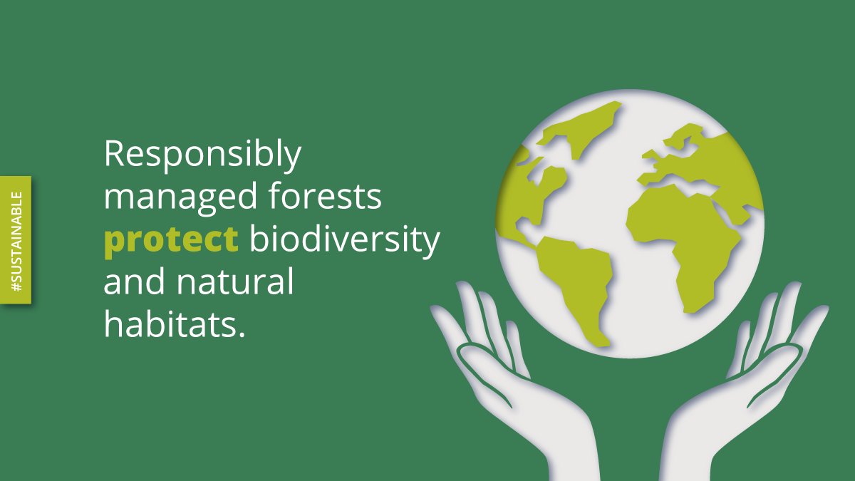 re:cartons tweet media