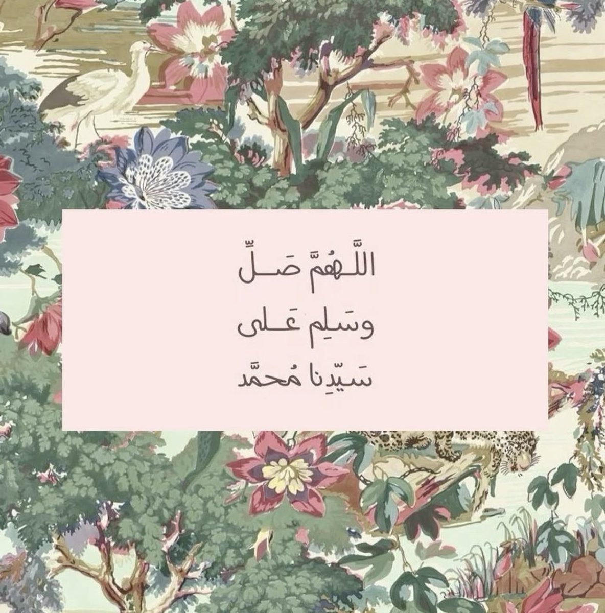 صل على النبي ومررها للأجر ❤️