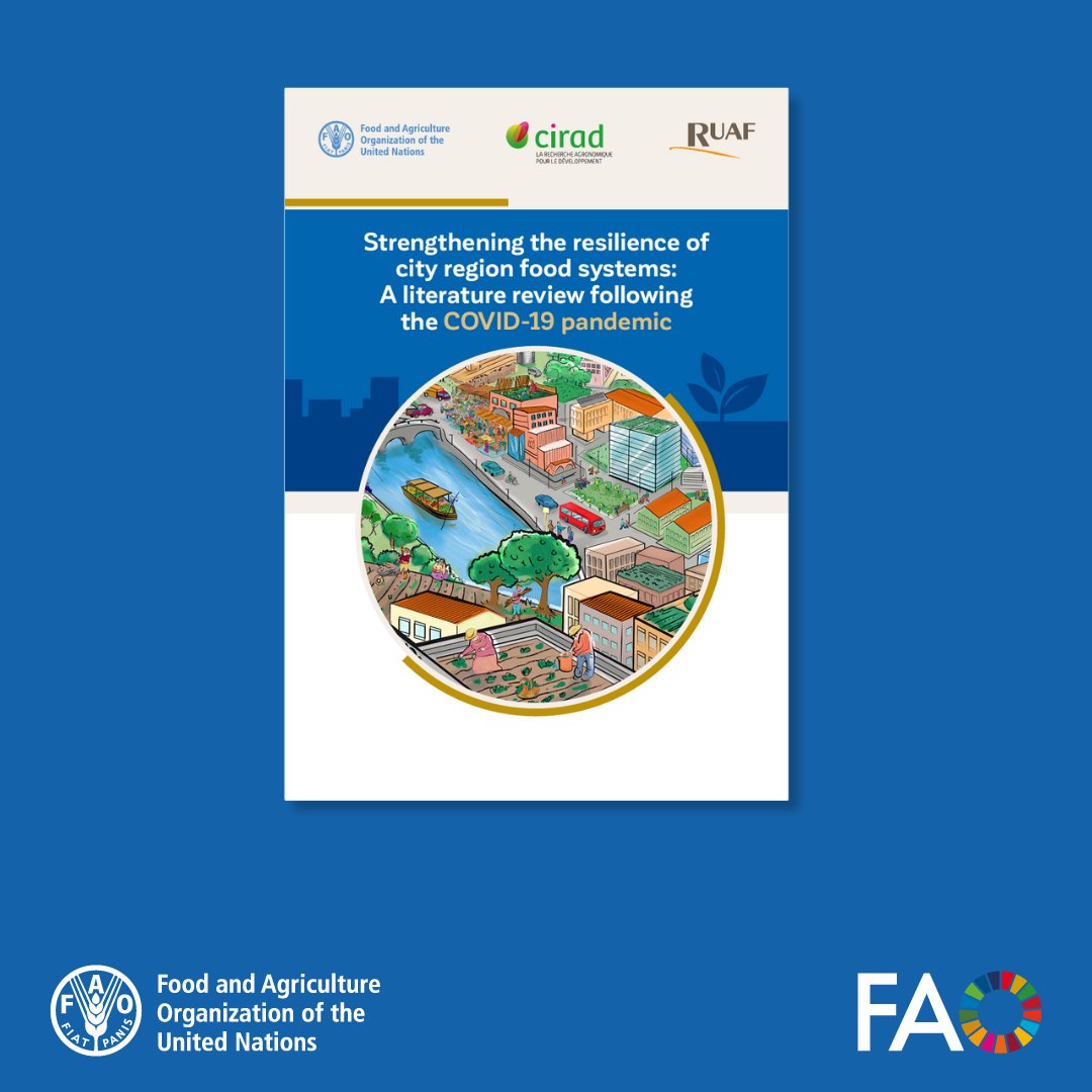 FAO Knowledge (@faoknowledge) on Twitter photo 🌍 How can city region food systems adapt to global shocks like COVID-19?
📖 <a href="/FAO/">Food and Agriculture Organization</a>'s new literature review explores resilience in CRFS, analyzing impacts, responses, and lessons to strengthen food systems for the future.
🔗 Read the report: doi.org/10.4060/cd2986…
<a href="/Cirad/">Cirad</a> <a href="/ruaf/">RUAF</a> 🌍 How can city region food systems adapt to global shocks like COVID-19?
📖 <a href="/FAO/">Food and Agriculture Organization</a>'s new literature review explores resilience in CRFS, analyzing impacts, responses, and lessons to strengthen food systems for the future.
🔗 Read the report: doi.org/10.4060/cd2986…
<a href="/Cirad/">Cirad</a> <a href="/ruaf/">RUAF</a>