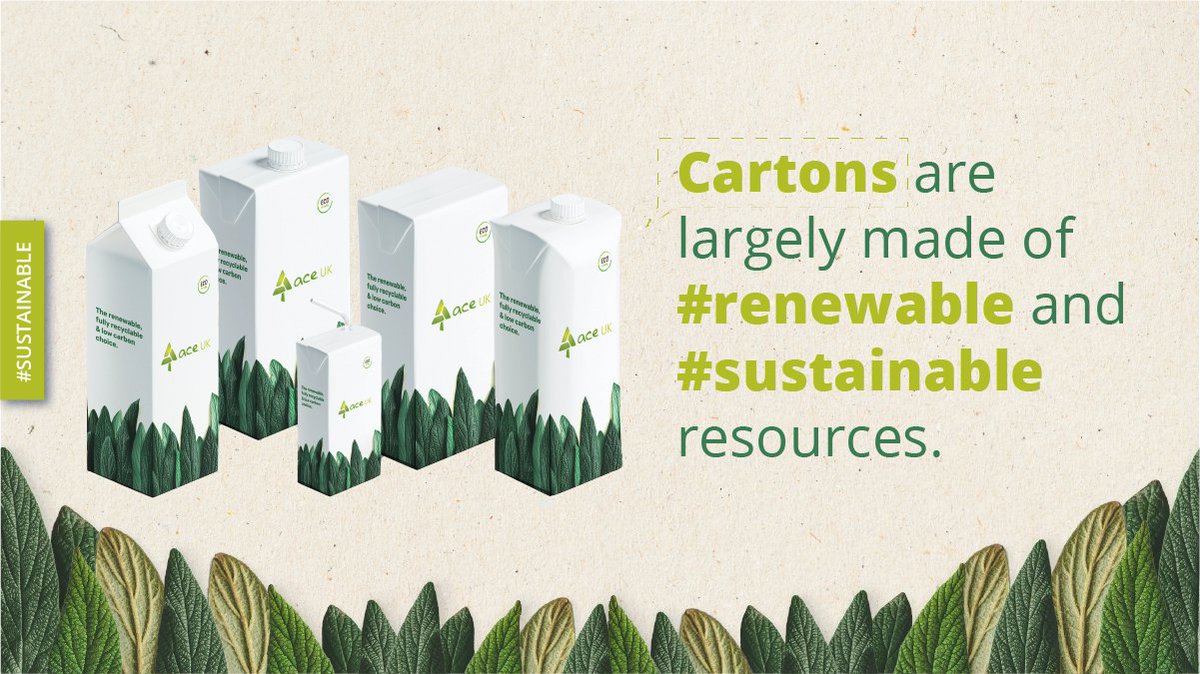 re:cartons tweet media