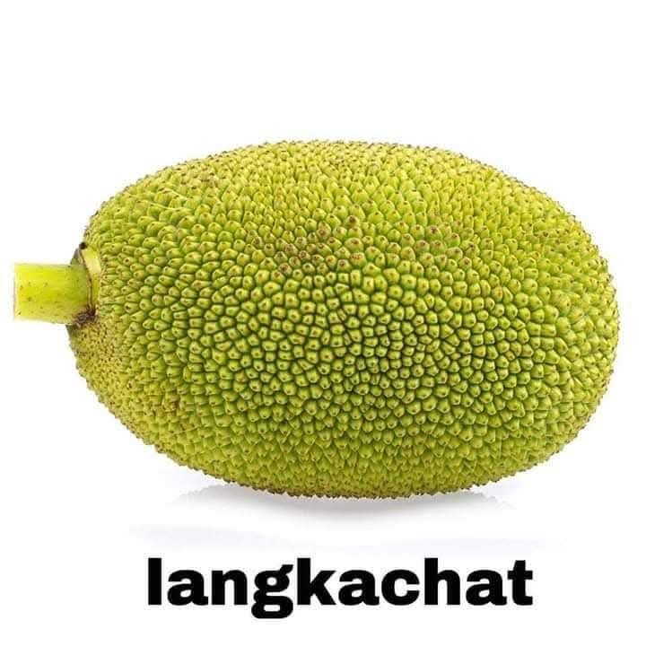 PAULIEI27's tweet photo. Pm na Dali🤣 https://t.co/6Ua1EeHzcg