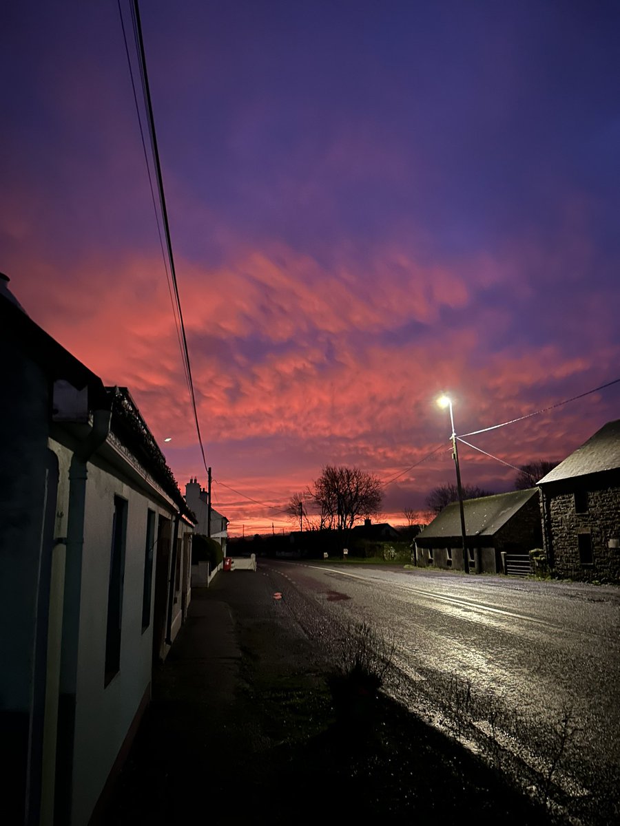 Save Murragh tweet media