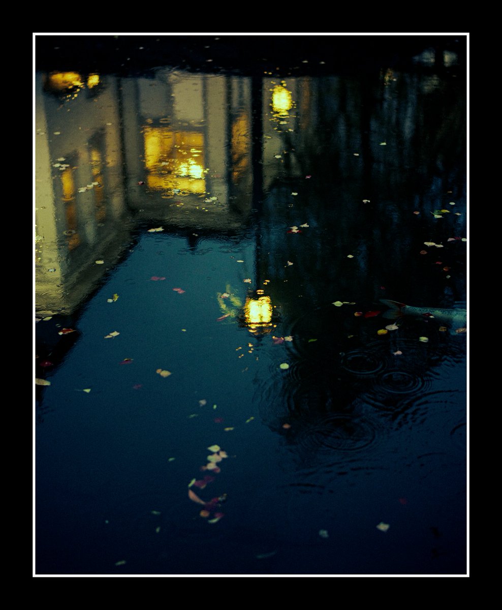 meow_photo's tweet image. もしゴッホが写真家だったらきっとこういう写真を撮るってコメントがあって嬉しかった