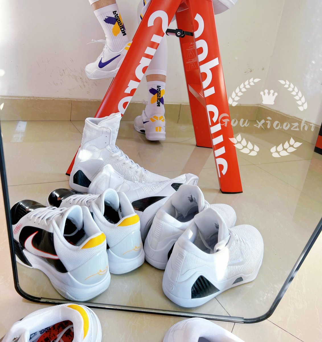 狗小志🐶 tweet media