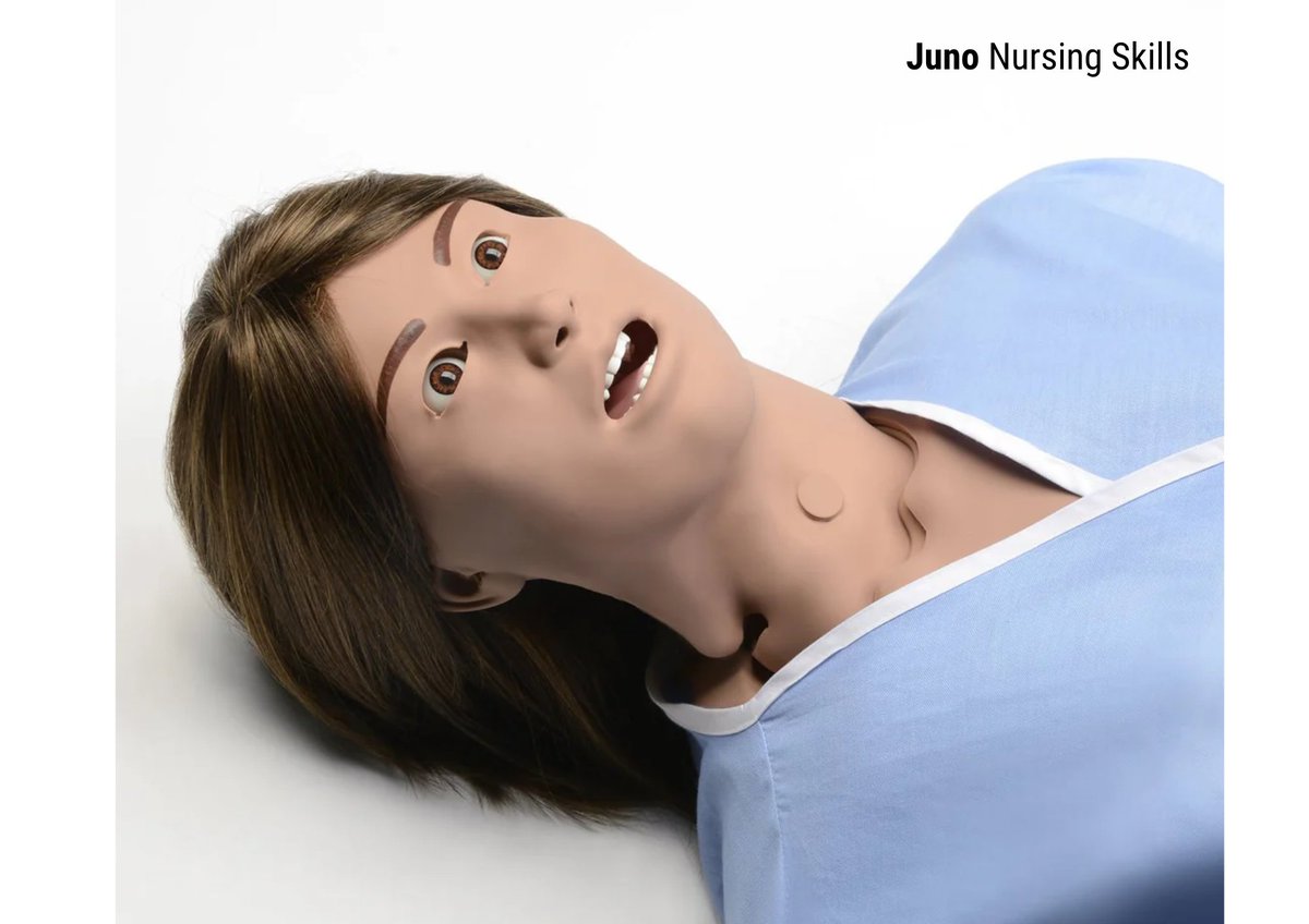 Sim & Skills tweet media