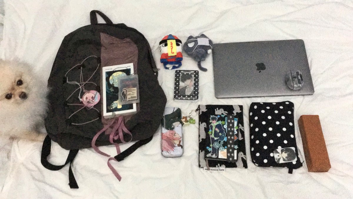 왓츠 인 마이...
도그......