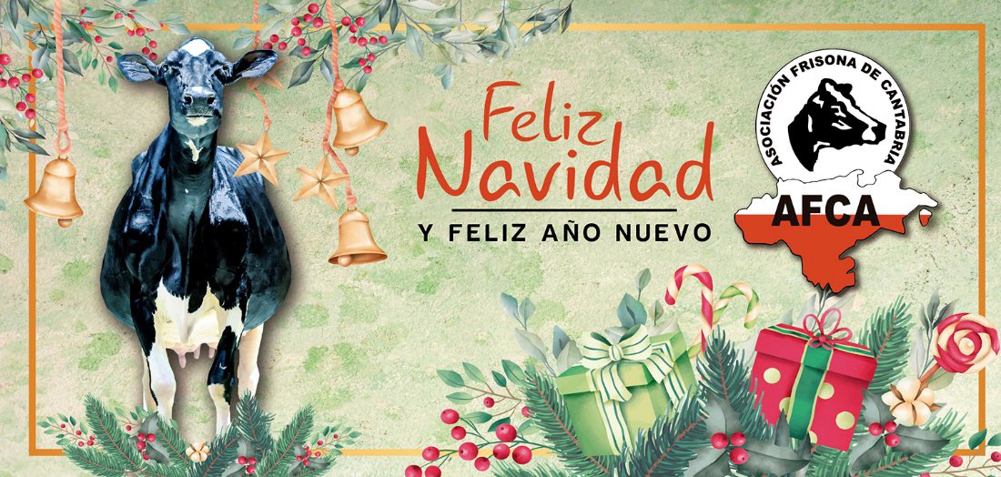 afca_es's tweet photo. ¡AFCA OS DESEA FELICES FIESTAS Y UN PRÓSPERO AÑO NUEVO!
Gracias a todos por acompañarnos este año. Seguiremos trabajando por nuestros #ganaderos y por la raza #frisona.
🐄🐄🤍❤️ https://t.co/ccw7AKDAhM