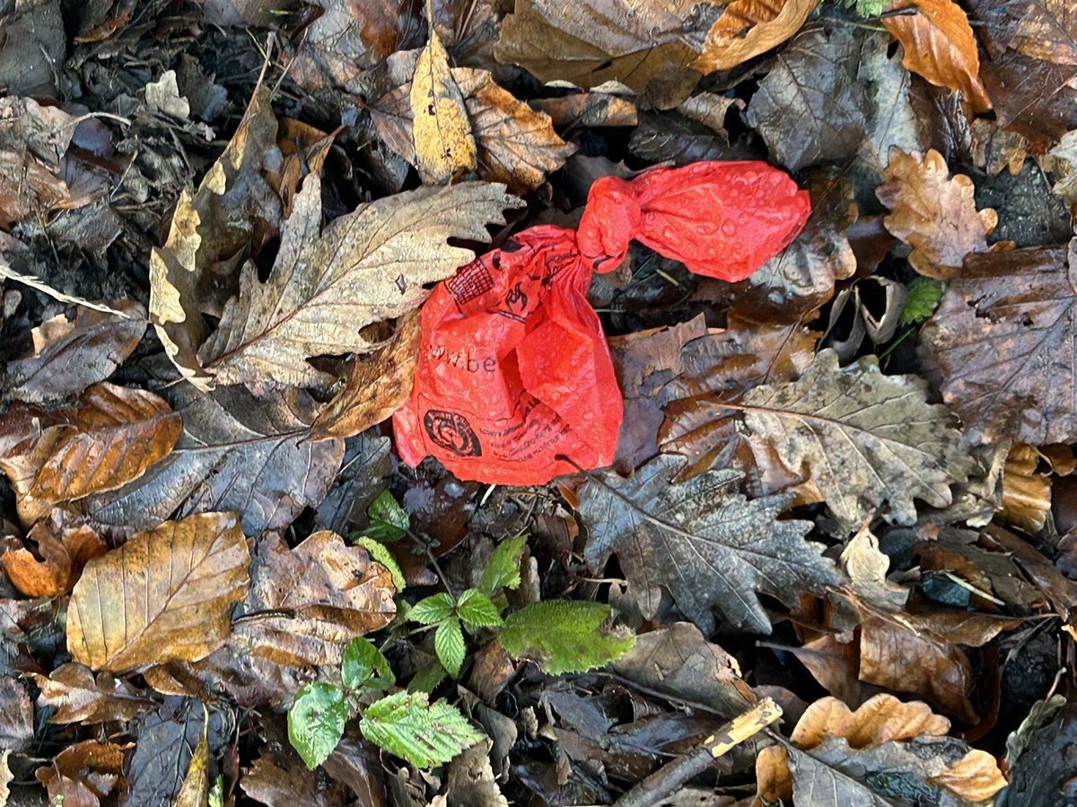 SavetheHellfire tweet media