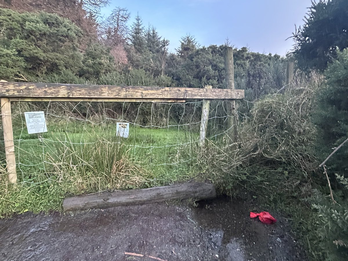 SavetheHellfire tweet media