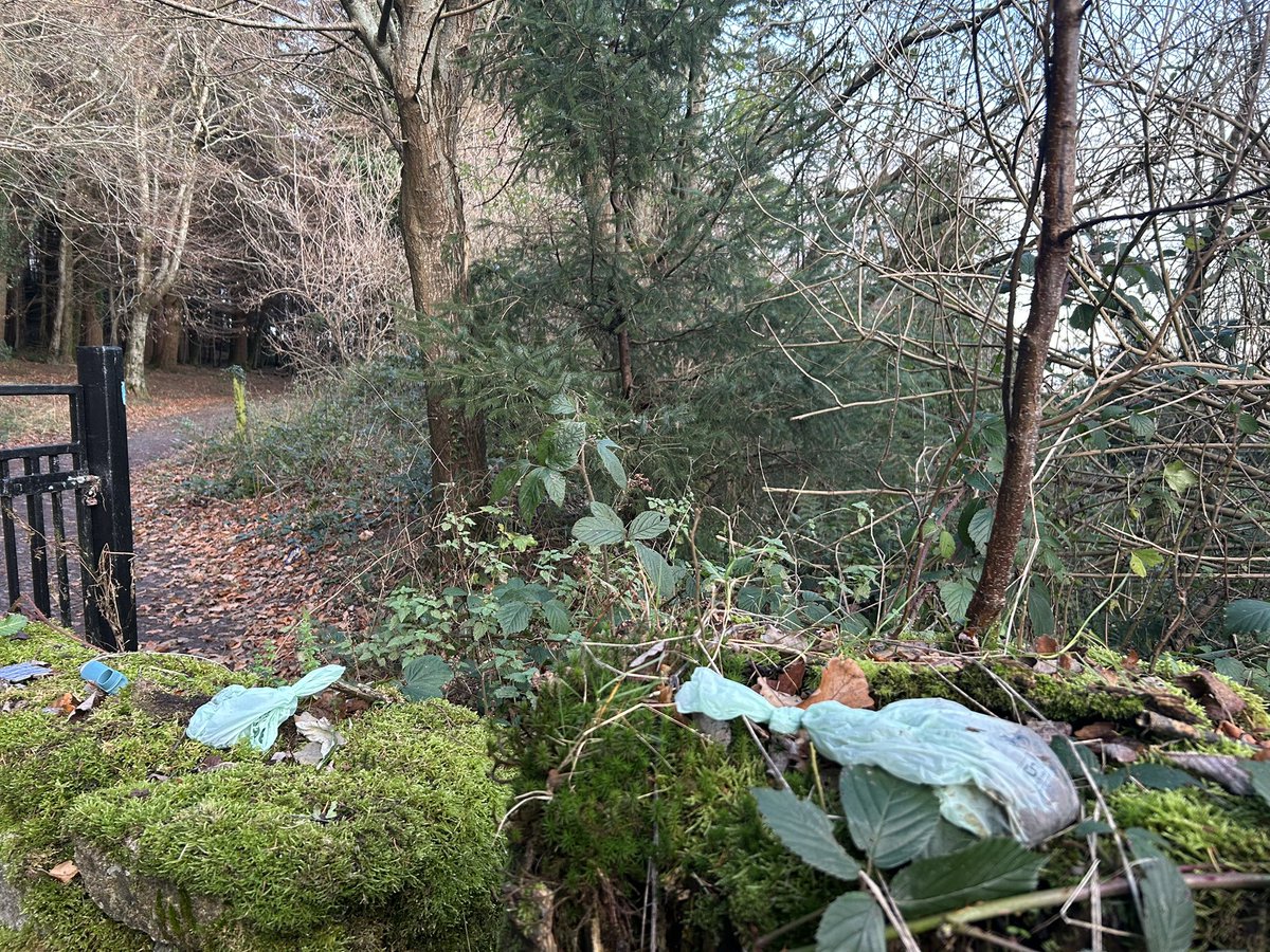 SavetheHellfire tweet media