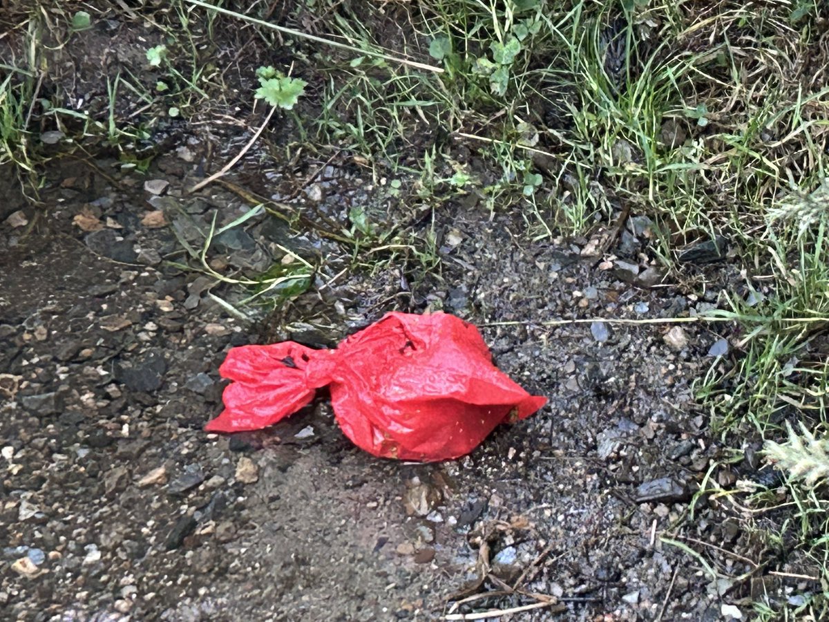 SavetheHellfire tweet media