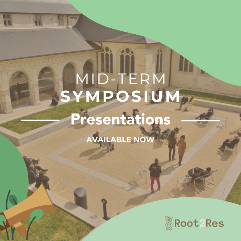 Root2Res's tweet photo. 🌱 Root2Res Midterm Symposium Presentations are LIVE! 🌱
Catch the four insightful sessions on climate-resilient #CropSystems & #RootTraits from Midterm Symposium. Now available in our Zenodo Community! 🌾
🔗 Zenodo: https://t.co/akF9VN1Aw6
👉 Read more: https://t.co/nPZYQZonMn https://t.co/X2dmaq9VBL