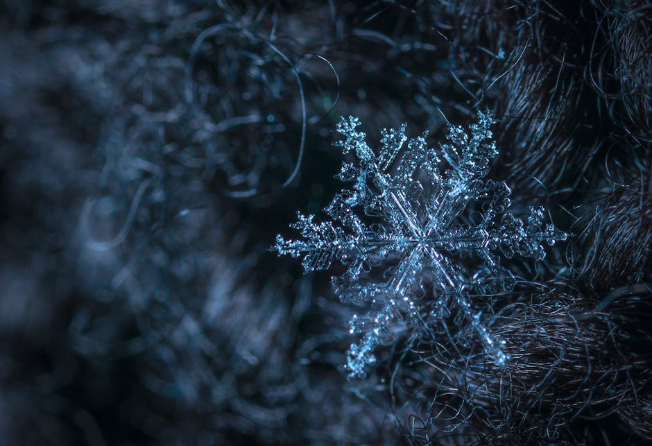 Monday, December 16: Schools are on a two-hour delay today.