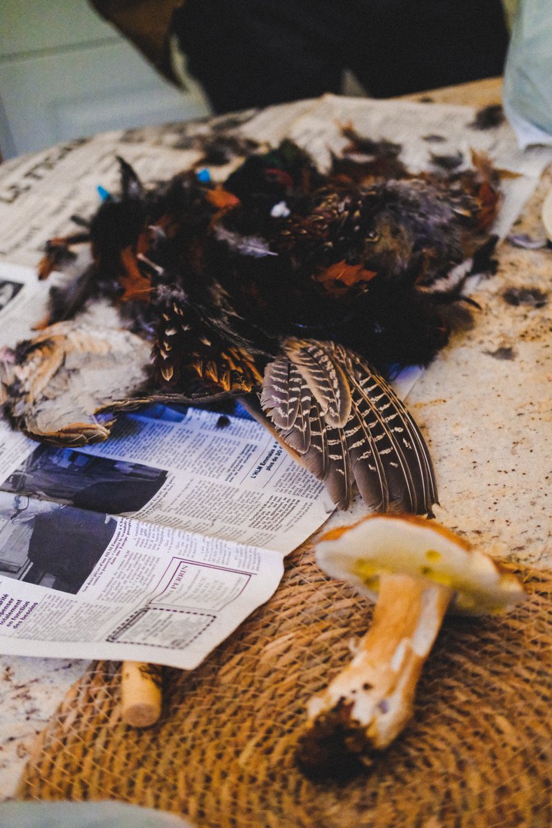 Greguibh tweet media