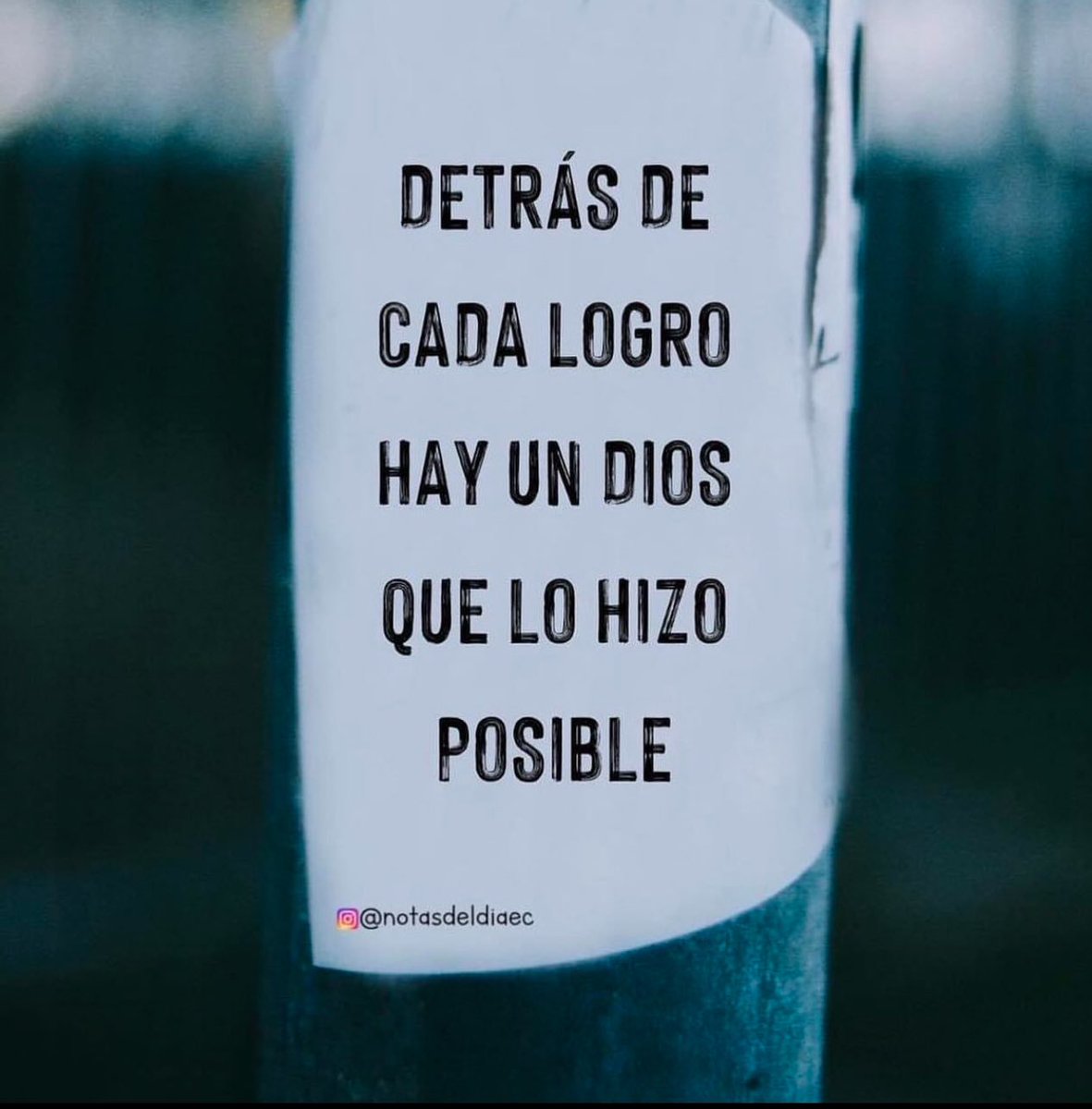 Genovevo (@gnovvo) on Twitter photo 