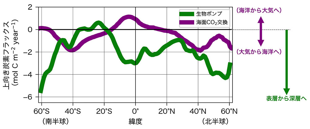 ||◤ プレスリリース◢||

海中の“酸素の動き”から“炭素の動き”を解き明かす
―生物による海洋二酸化炭素吸収量の新たな評価―
jamstec.go.jp/j/about/press_…

#JAMSTEC 地球環境部門 海洋観測研究センターの山口研究員 ＠ryamaguchi017 、纐纈主任研究員らによる研究成果です。

〔発表のポイント〕