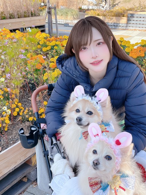 コスプレイヤーすみれおじさん(紫花菫)のTwitter画像67