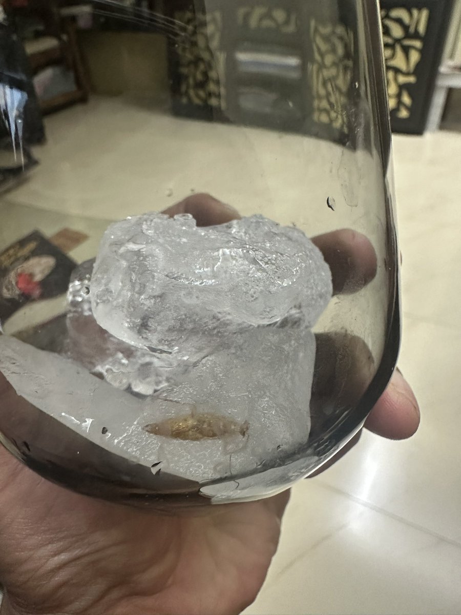 chefonkar's tweet photo. @Swiggy please check your product quality before sending it https://t.co/MeVJUTLTRV