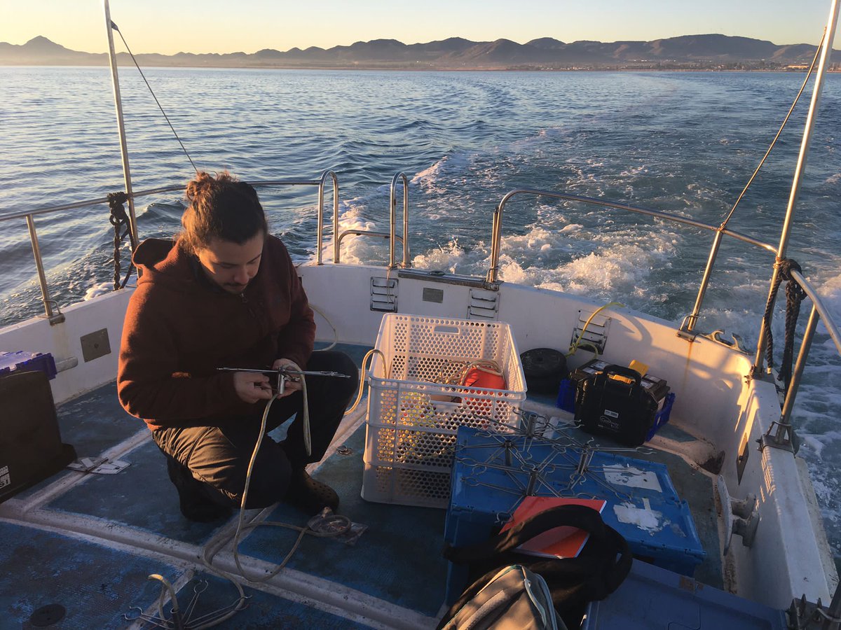 GRAB - UAB tweet media