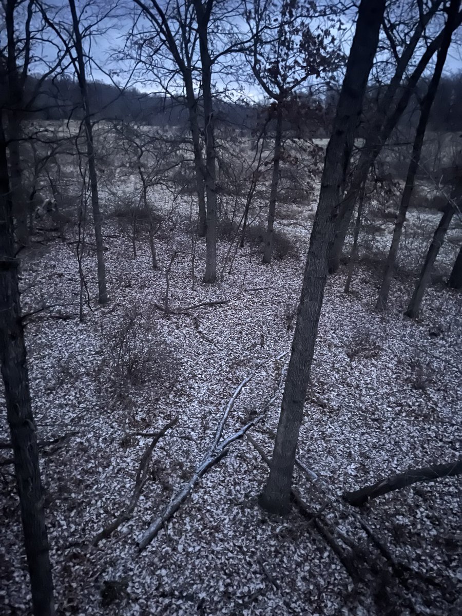 Luckofthedraw44's tweet photo. What a fun and crazy hunt in Missouri for Pro Staffer @24_7Farnsworth as he was able to harvest a great whitetail! Going to be a great episode. @VortexOptics @topnotchblades #vortexoptics #bowhunting #luckofthedraw #lotd #venison https://t.co/SKZbWCeO29
