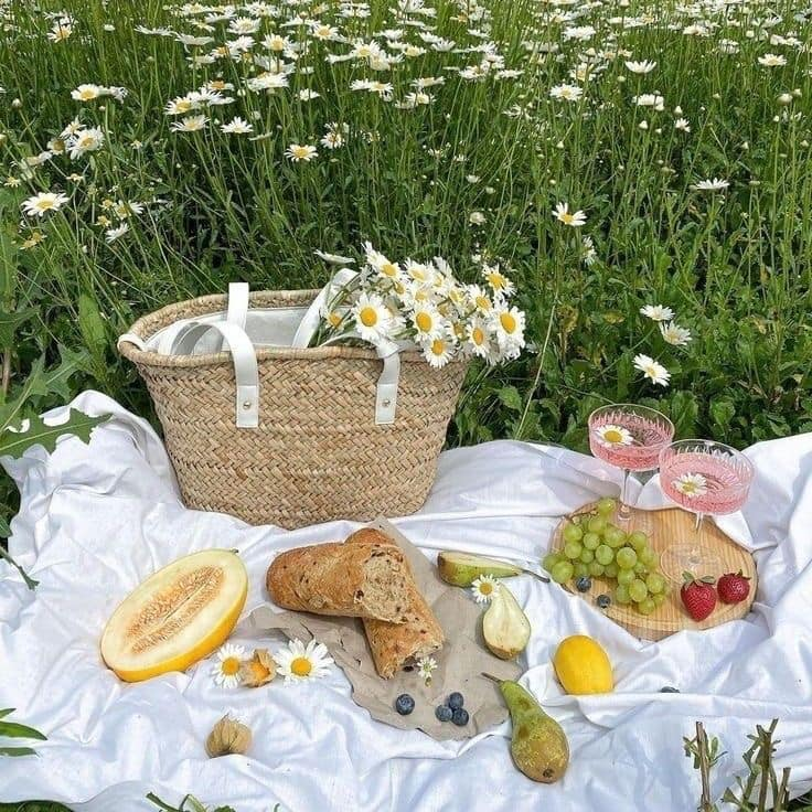 artindetails's tweet photo. — a blanket, a basket, a blissful day. https://t.co/pG2OnFSlH7