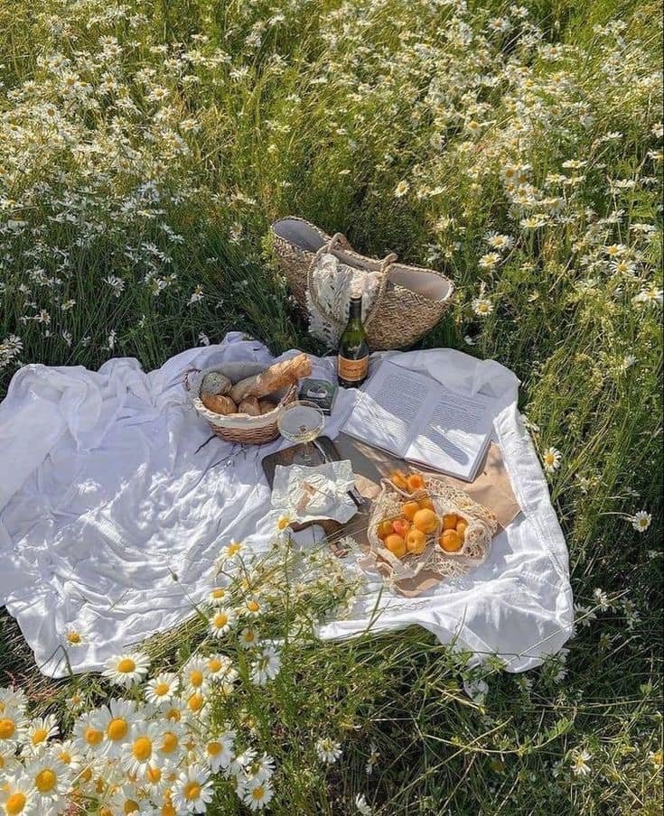 artindetails's tweet photo. — a blanket, a basket, a blissful day. https://t.co/pG2OnFSlH7