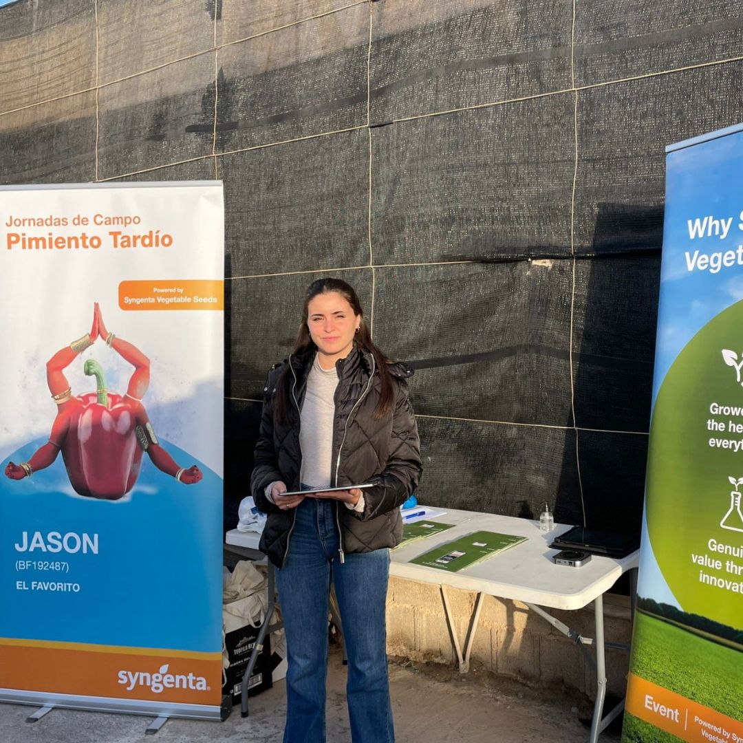 SyngentaES's tweet photo. 👩‍🌾🌶️ ¡Doble jornada de campo para dar a conocer nuestros pimientos para  ciclo temprano #Arconte y #Norris!

Hemos compartido las ventajas de estos dos Californias rojos con alta calidad de fruto y buen cuaje. Además, ambas variedades tienen resistencia a L4, spotted y oídio. https://t.co/UOeYgsYX69