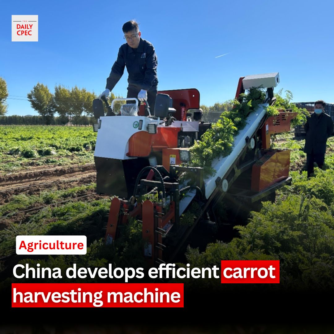 TheDailyCPEC's tweet image. A new lightweight carrot combine #harvester developed by Chinese researchers improves efficiency and cuts labor costs in farming.

Read More⤵️:
thedailycpec.com/china-develops…