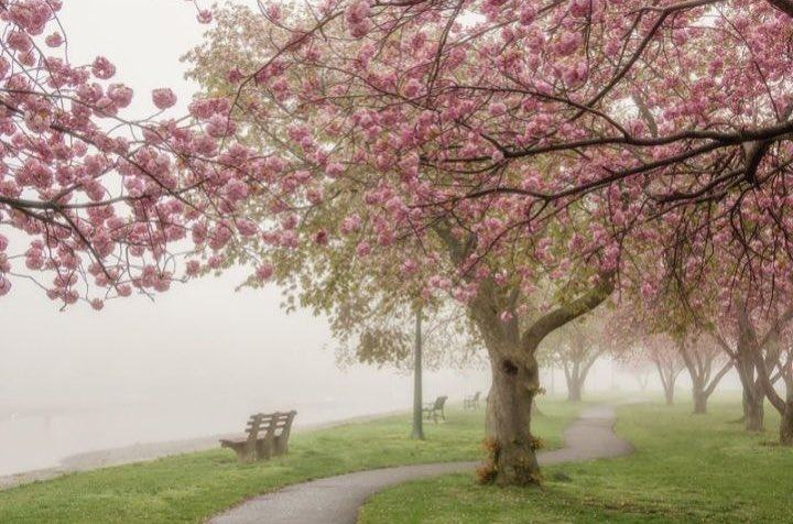 artindetails's tweet photo. — caught in a dreamy fog https://t.co/EJemWDGl8D
