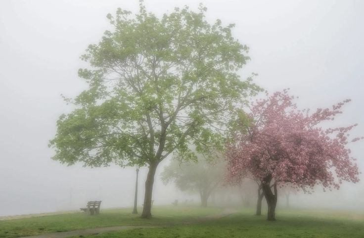 artindetails's tweet photo. — caught in a dreamy fog https://t.co/EJemWDGl8D