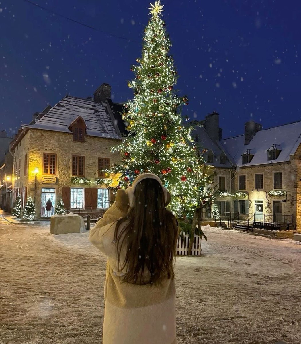 andreeafairy's tweet photo. Magical December nights ❄️✨☃️ https://t.co/RafmVCddRl