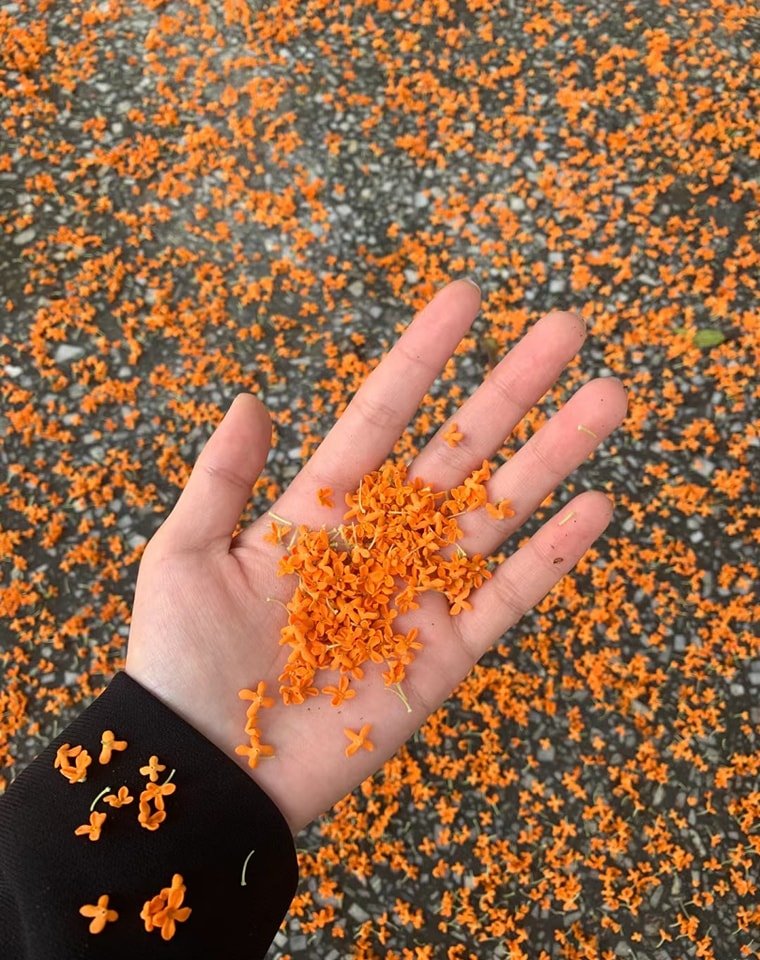 artindetails's tweet photo. — the art of noticing https://t.co/VecqI7iSEB
