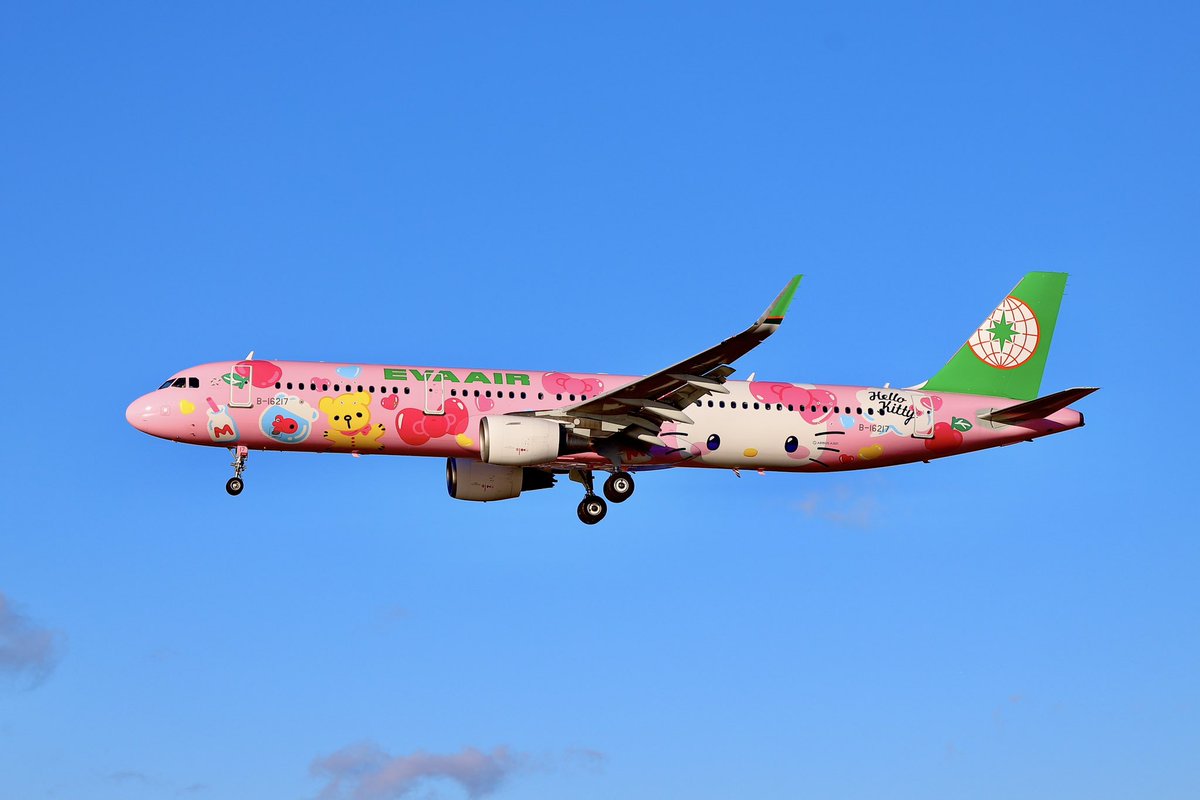 run474's tweet photo. #エバー航空
#pinkyjet
#ハローキティジェット
2024.12.14撮影
仙台国際空港RWY27エンド https://t.co/nNFKKUZ7M9