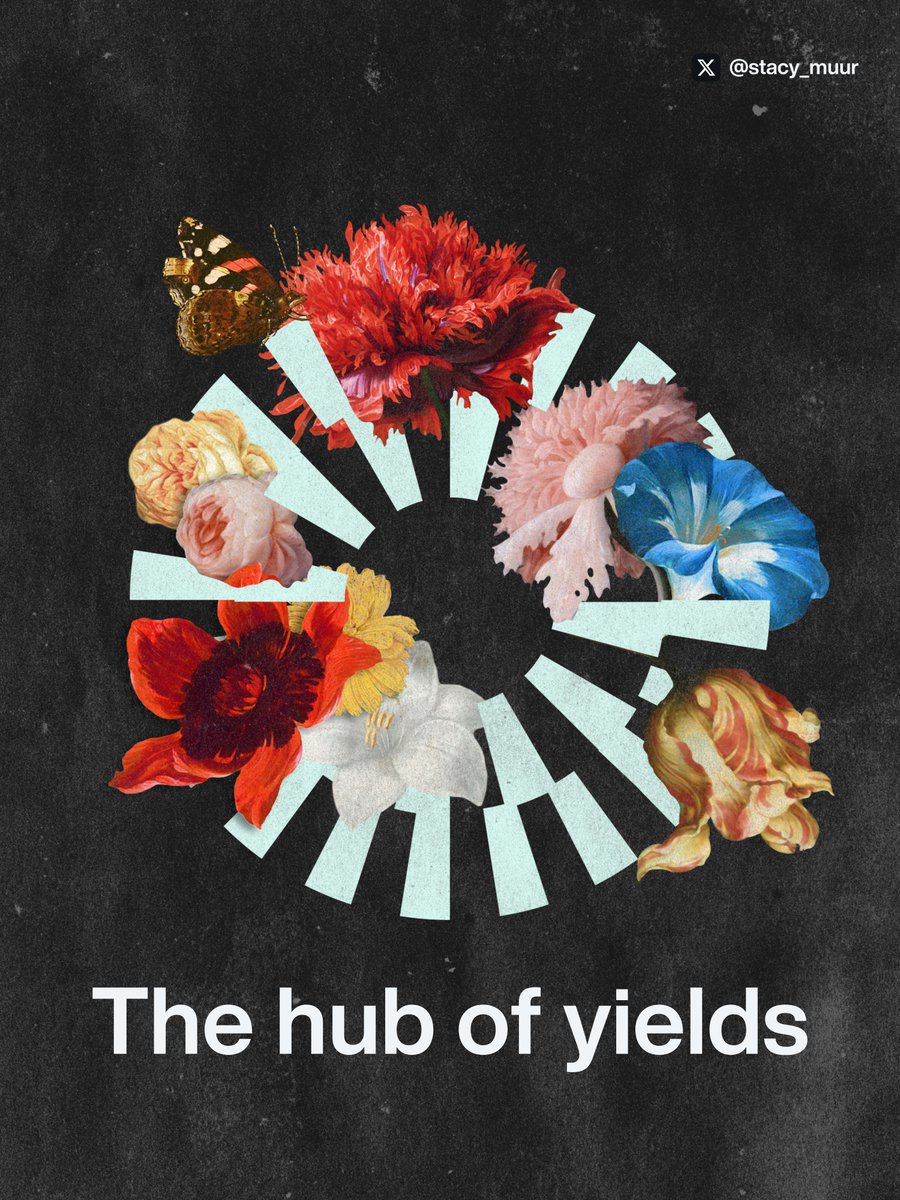 Stacy Muur tweet media