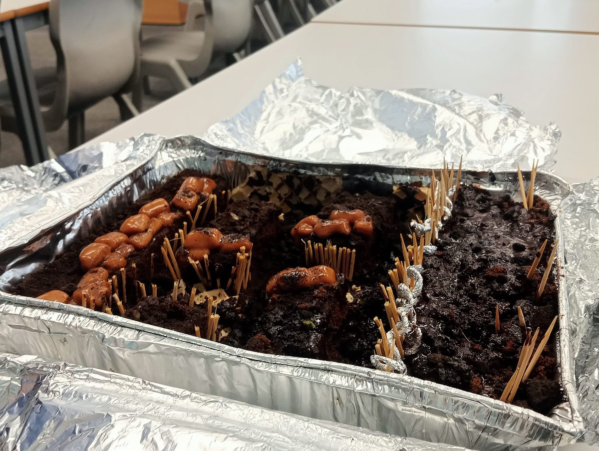 Our Y9 historians have been busy making trenches this half term. This one is made from chocolate 🍫 😋 well done!!