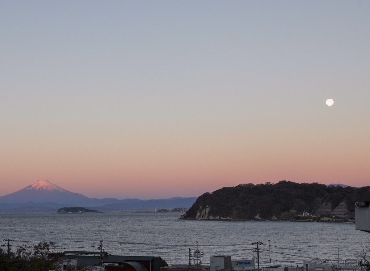 流木 - Search / X