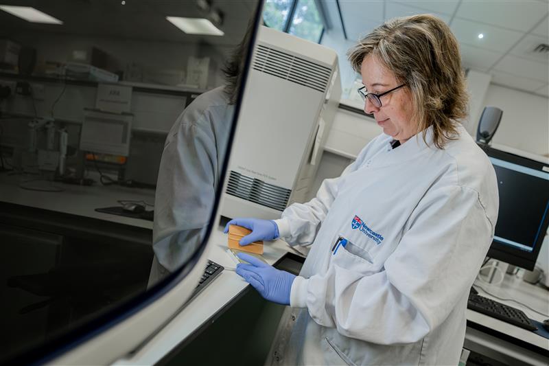 Diagnostics North East (@diagnosticsne) on Twitter photo 🔬 Meet our Bio Screening Facility!
In our final edition of, "Under the Microscope" in 2024, Dr Carmen Martin-Ruiz introduces the <a href="/UniofNewcastle/">Newcastle University</a> "Bio Screening Facility" and explains the range of services on offer to support diagnostic development
👀 👉diagnosticsnortheast.org.uk/under-the-micr… 🔬 Meet our Bio Screening Facility!
In our final edition of, "Under the Microscope" in 2024, Dr Carmen Martin-Ruiz introduces the <a href="/UniofNewcastle/">Newcastle University</a> "Bio Screening Facility" and explains the range of services on offer to support diagnostic development
👀 👉diagnosticsnortheast.org.uk/under-the-micr…
