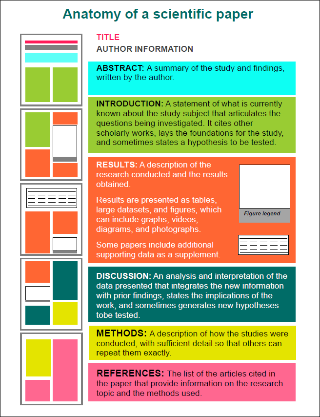 PhD Students - How a research paper looks like?

Here is a typical structure of a research paper.

Source: “How to Read a Scientific Paper” and “Case Study: Reading a Plant Physiology article” by Mary Williams.

#research #phd