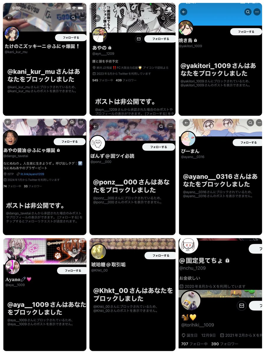 ねこね🌙 tweet media