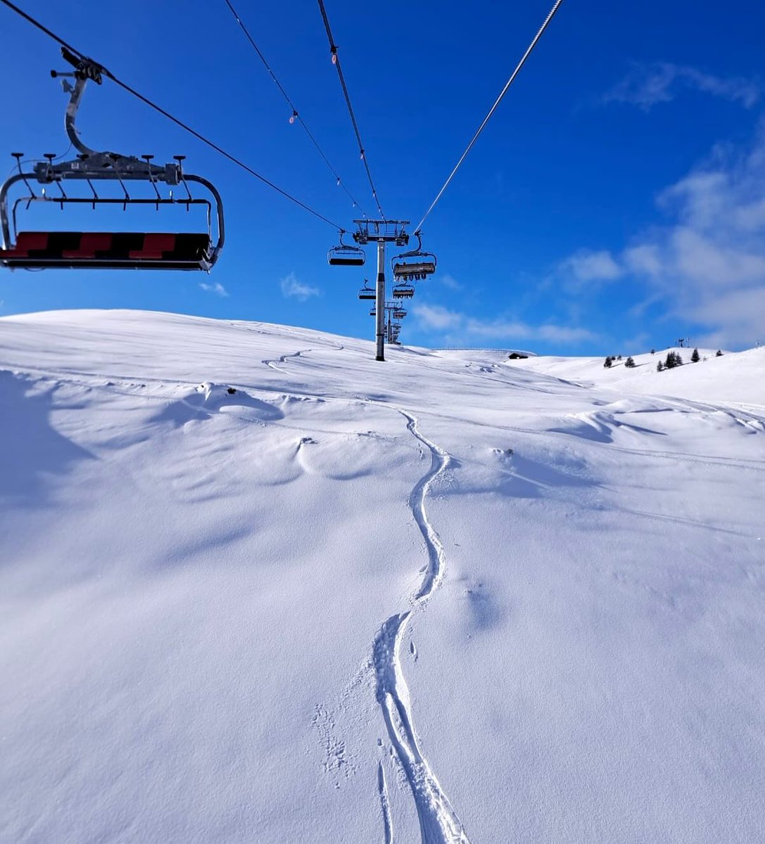 En direct] Le bonheur est ici, et il est blanc ! 🤍
Soleil, ciel bleu et neige fraîche… Que demander de plus ? 😍